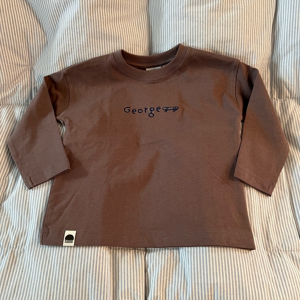Zara Long Sleeve Brown Tee Soft Crew Neck